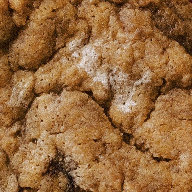 Macro crop of the Fluffer Nutter cookie: golden crumb with a marshmallow ribbon